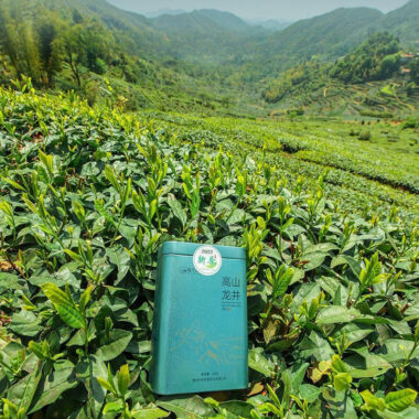 2025 Early Spring Zhejiang Shaoxing [Long Jing] Class S Green Tea Canned Gift Set 250g