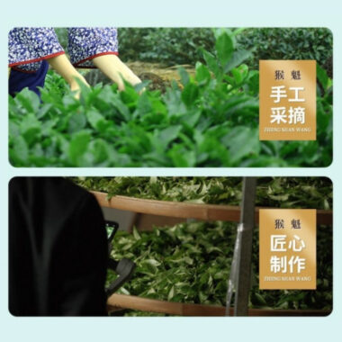 Early Spring Huangshan Premium Taiping [Hou Kui] Green Tea 260/520g