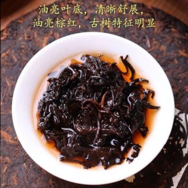 2006 Spring Yunnan Shu Puer Tea Cake [Bingdao]