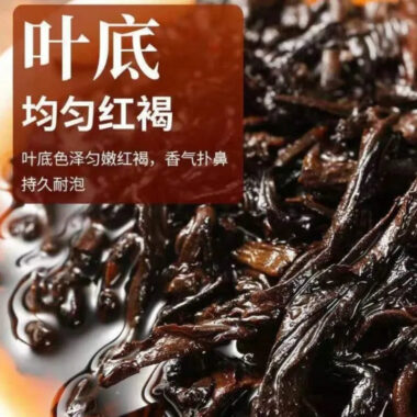 2009 Spring Yunnan Premium Shu Puer Tea Cake [Bingdao Golden Buds]