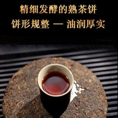 2009 Spring Yunnan Shu Puer Tea Cake [Cang Shan]