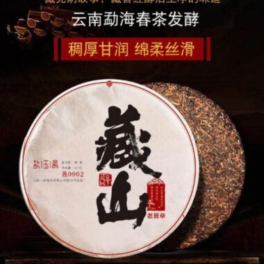 2009 Spring Yunnan Shu Puer Tea Cake [Cang Shan]