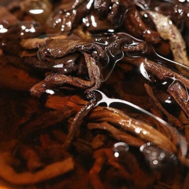 2009 Spring Yunnan Shu Puer Tea Cake [Cang Shan]