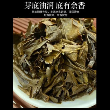 (Limited Edition) 2010 Fuding Premium White Tea Cake [Wild Laocong Gong Mei] – Single Piece 350g x 1