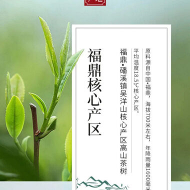 (Limited Edition) 2010 Fuding Premium White Tea Cake [Wild Laocong Gong Mei] – Single Piece 350g x 1