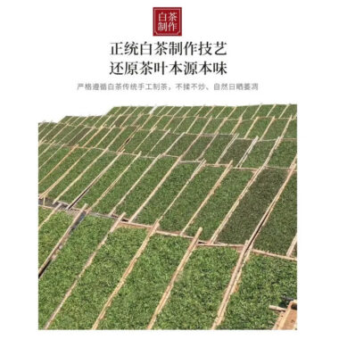 (Limited Edition) 2010 Fuding Premium White Tea Cake [Wild Laocong Gong Mei] – Single Piece 350g x 1