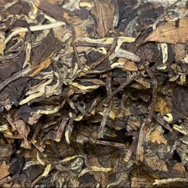 (Limited Edition) 2010 Fuding Premium White Tea Cake [Wild Laocong Gong Mei] – Single Piece 350g x 1