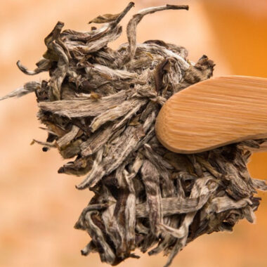 2014 Spring Fuding White Tea Cake [Baihaoyinzhen]