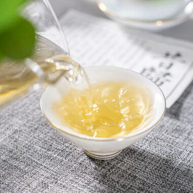 2018 Spring Yunnan Sheng Puer Tea Cake [Xi Gui]