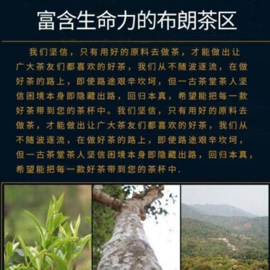 2019 Yunnan Sheng Puer Tea Cake [Bulang Shan]