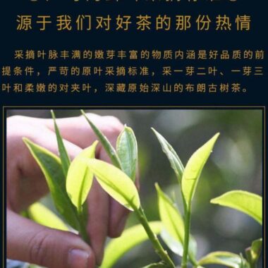 2019 Yunnan Sheng Puer Tea Cake [Bulang Shan]