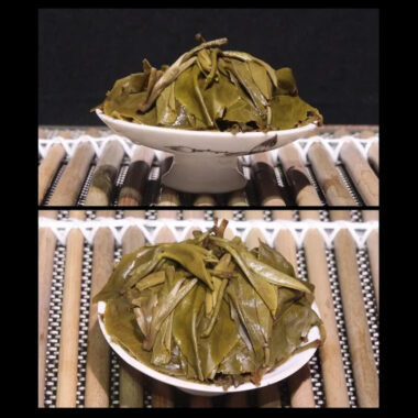 2020 Spring Yunnan Sheng Puer Tea Cake [Yun Cha Yinxiang]