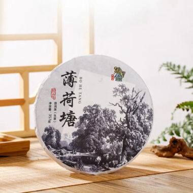 2021 Spring Yunnan Yiwu Sheng Puer Tea Cake [Bo He Tang]