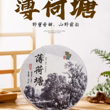 2021 Spring Yunnan Yiwu Sheng Puer Tea Cake [Bo He Tang]