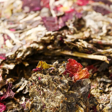 2022 Spring Yunnan Sheng Puer Tea Cake [Red Rose]