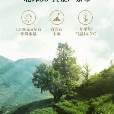 2025 Early Spring Zhejiang Shaoxing [Long Jing] Class 1 Green Tea 300g