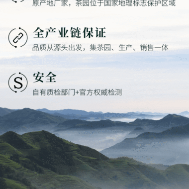 2025 Early Spring Zhejiang Shaoxing [Long Jing] Class 1 Green Tea 300g