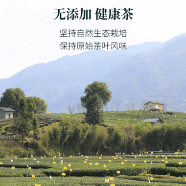 2025 Early Spring Zhejiang Shaoxing [Long Jing] Class 1 Green Tea 300g