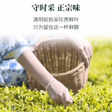2025 Early Spring Zhejiang Shaoxing [Long Jing] Class 1 Green Tea 300g