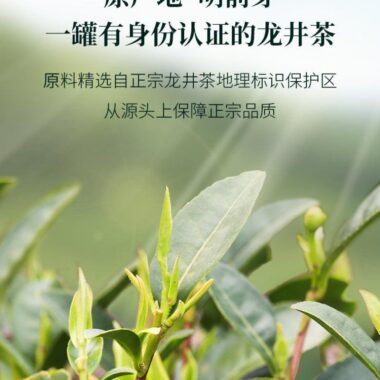 2025 Early Spring Zhejiang Shaoxing [Long Jing] Class 1 Green Tea 300g