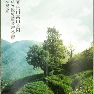 2025 Early Spring Zhejiang Shaoxing [Long Jing] Class S Green Tea 250g