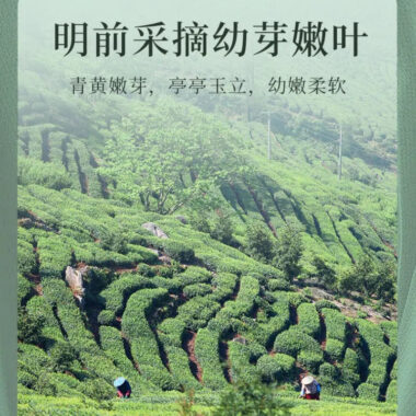 2025 Early Spring Zhejiang Shaoxing [Long Jing] Class S Green Tea 250g