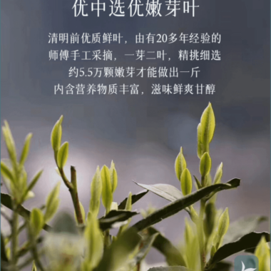 2025 Early Spring Zhejiang Shaoxing [Long Jing] Class S Green Tea Canned Gift Set 250g