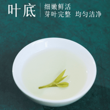 2025 Early Spring Zhejiang Shaoxing [Long Jing] Class S Green Tea Canned Gift Set 250g