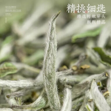2025 Spring Fuding [Wild Baihaoyinzhen] Premium White Loose Tea