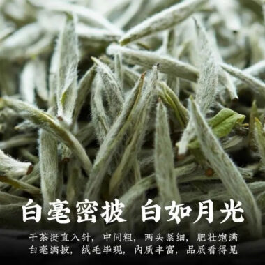 2025 Spring Fuding [Wild Baihaoyinzhen] Premium White Loose Tea