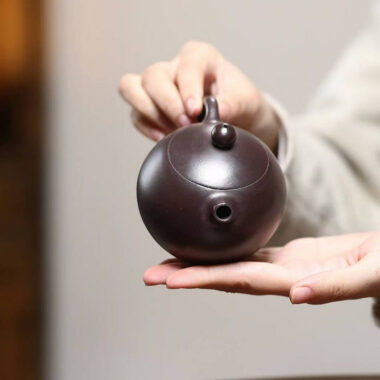 Yixing Zisha Teapot [Hetun Xishi] (Chi Long Xue Sha – 220ml)