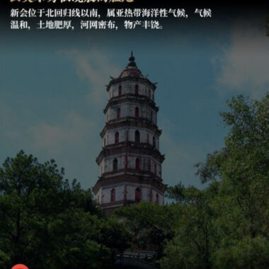 Premium Xin Hui [Mandarin Puer] Dark Tea Canned Gift Set 250/500g