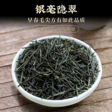 Early Spring Xinyang Premium [Mao Jian] Fried Green Tea 260/520g