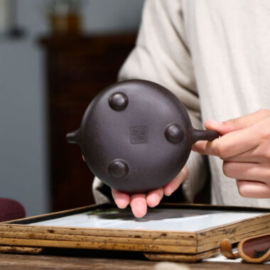 Yixing Zisha Teapot [Bamboo Shi Piao] (Hei Jin Sha – 240ml)