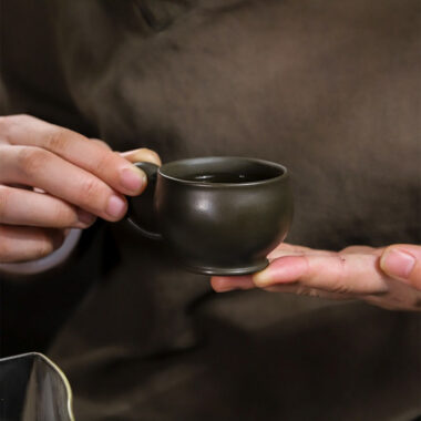 Full Handmade Yixing Zisha Teapot Set [Mei Bao Chun] (Feicui Qing Zi Ni – 320ml)