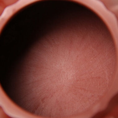 Full Handmade Yixing Zisha Teapot [Linghua Shi Piao Pot] (Dahongpao – 240ml)