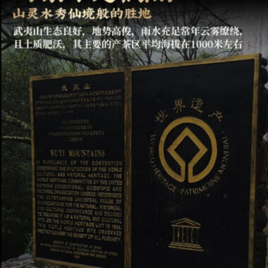 Wuyi Yan Cha Premium [Hu Xiao Yan Rougui] Cinnamon Aroma Oolong Tea 260/520g