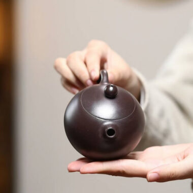 Yixing Zisha Teapot [Hetun Xishi] (Chi Long Xue Sha – 220ml)