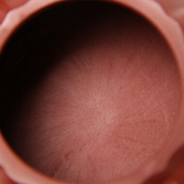 Full Handmade Yixing Zisha Teapot [Linghua Shi Piao Pot] (Dahongpao – 240ml)