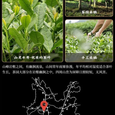 Premium Yunnan Fengqing [Dianhong] Golden Bud Black Tea Canned Gift Set 250/500g