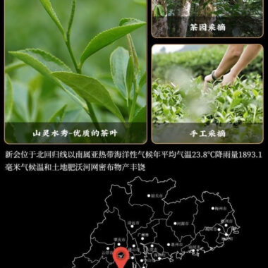 Premium Xin Hui [Mandarin Puer] Dark Tea Canned Gift Set 250/500g