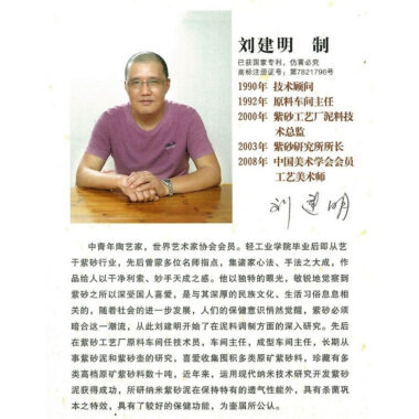 Full Handmade Yixing Zisha Teapot [Xishi Pot] (Zhu Ni – 260ml)