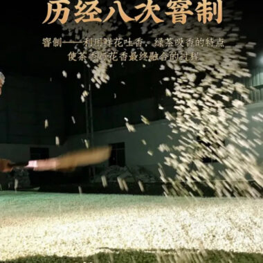 Guangxi [Jasmine Tea] Strong Flora Aroma Green Tea Gift Set 500g