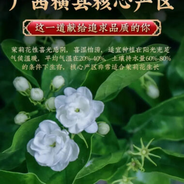 Guangxi [Jasmine Tea] Strong Flora Aroma Green Tea Gift Set 500g