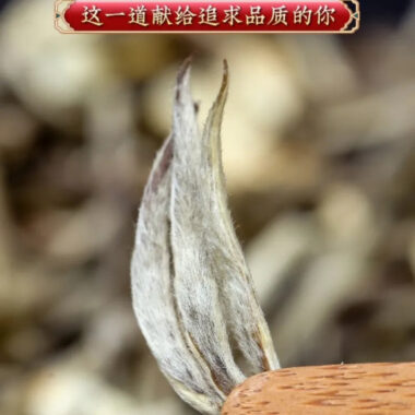 Guangxi [Jasmine Tea] Strong Flora Aroma Green Tea Gift Set 500g