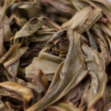Lao Duan Shan Phoenix Dancong [Milanxiang] Oolong Tea