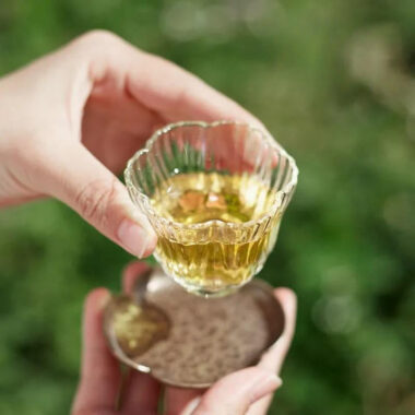 Lao Duan Shan Phoenix Dancong [Yashixiang] Oolong Tea