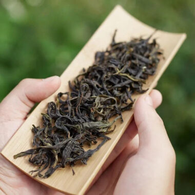 Lao Duan Shan Phoenix Dancong [Yashixiang] Oolong Tea