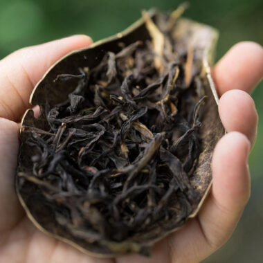 Lao Duan Shan Premium Phoenix Dancong [Snowflakes Yashixiang] Oolong Tea