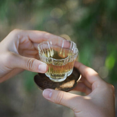 Lao Duan Shan Premium Phoenix Dancong [Snowflakes Yashixiang] Oolong Tea